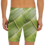 Coconut Leaf Print Men's Long Boxer Briefs