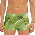 Coconut Leaf Print Men's Short Boxer Briefs