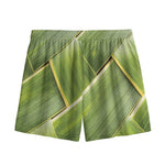 Coconut Leaf Print Mesh Shorts