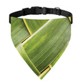 Coconut Leaf Print Over The Collar Dog Bandana
