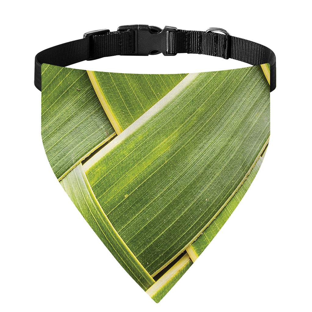 Coconut Leaf Print Over The Collar Dog Bandana