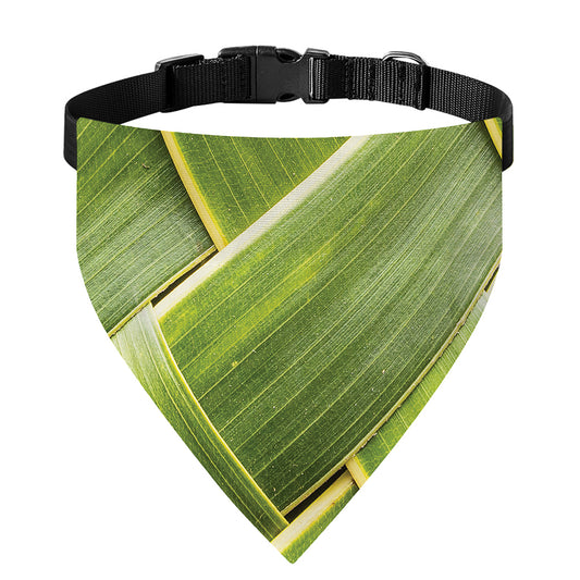 Coconut Leaf Print Over The Collar Dog Bandana