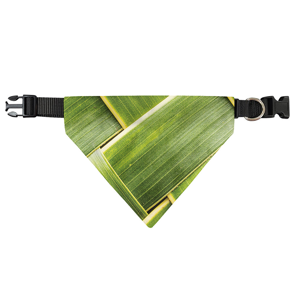 Coconut Leaf Print Over The Collar Dog Bandana