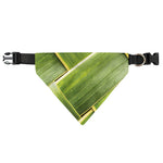 Coconut Leaf Print Over The Collar Dog Bandana