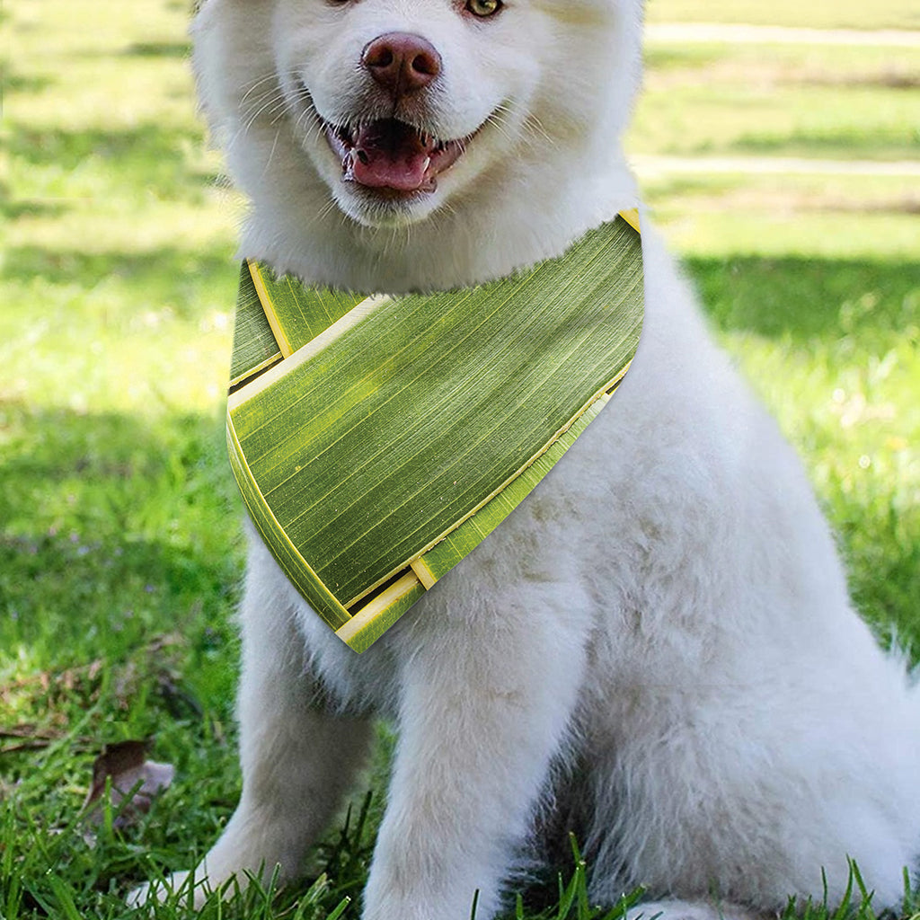 Coconut Leaf Print Over The Collar Dog Bandana