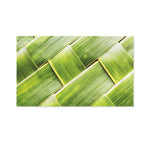 Coconut Leaf Print Polyester Flag