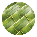 Coconut Leaf Print Round Blanket