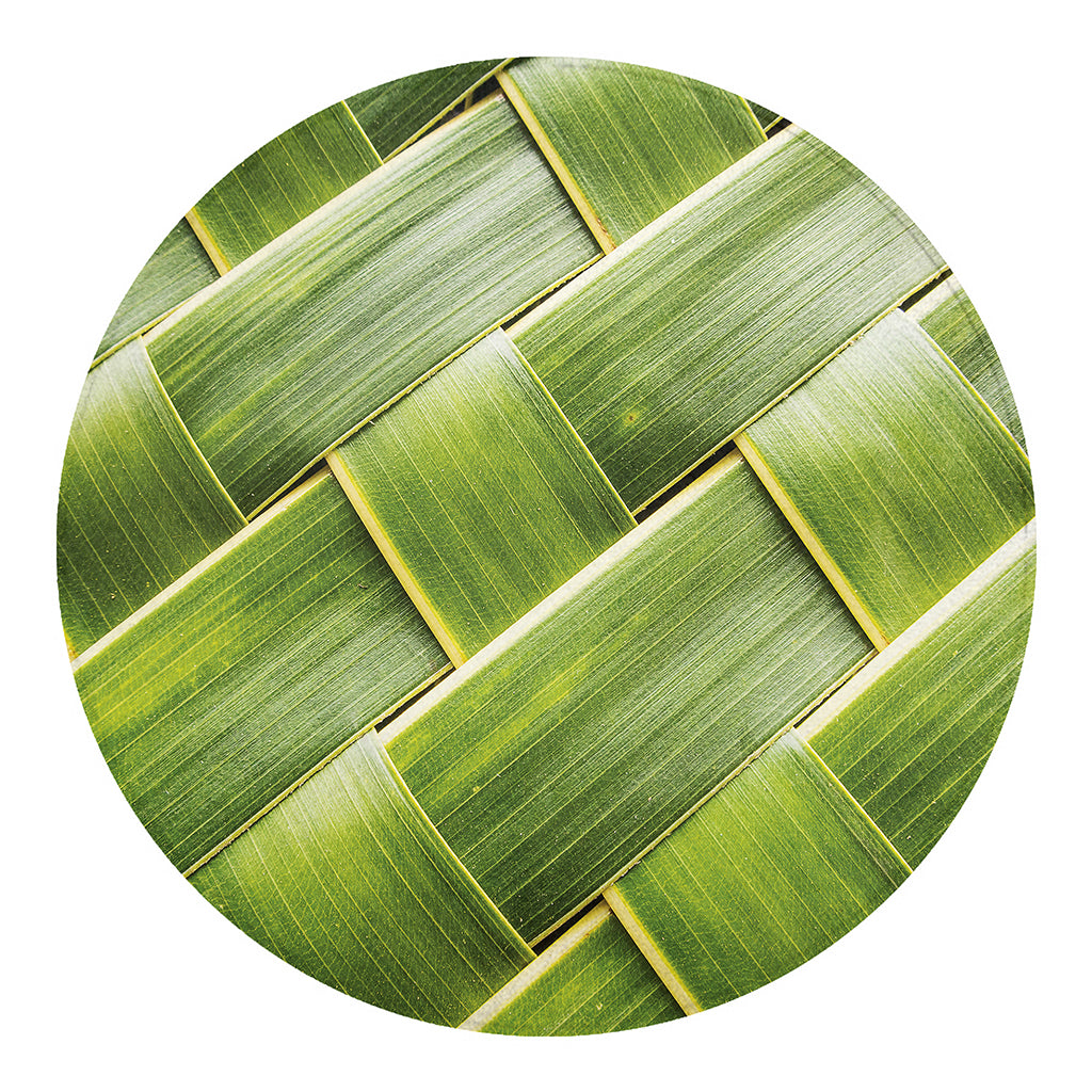 Coconut Leaf Print Round Blanket