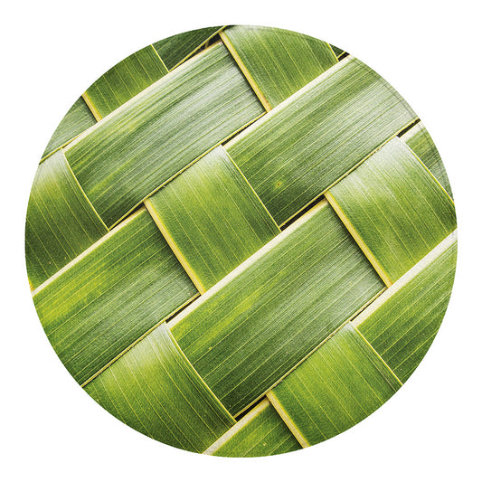 Coconut Leaf Print Round Blanket