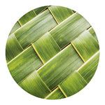 Coconut Leaf Print Round Blanket