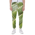 Coconut Leaf Print Joggers