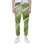 Coconut Leaf Print Scuba Joggers