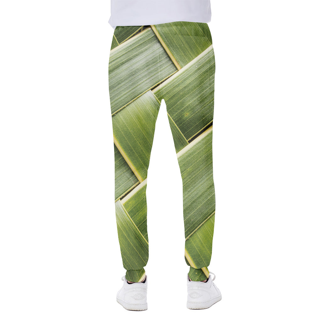 Coconut Leaf Print Scuba Joggers