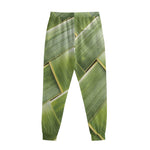 Coconut Leaf Print Sweatpants