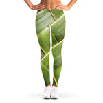Coconut Leaf Print Women's Leggings