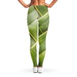 Coconut Leaf Print Women's Leggings