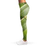 Coconut Leaf Print Women's Leggings