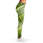 Coconut Leaf Print Women's Leggings