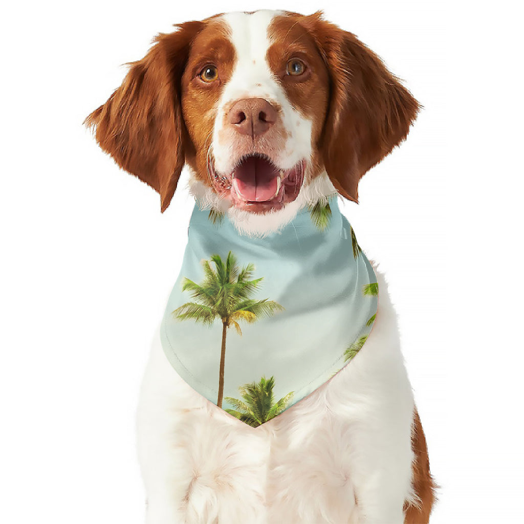 Coconut Tree Print Dog Bandana