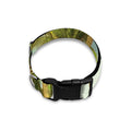 Coconut Tree Print Dog Collar