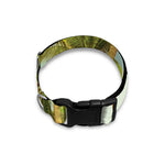 Coconut Tree Print Dog Collar