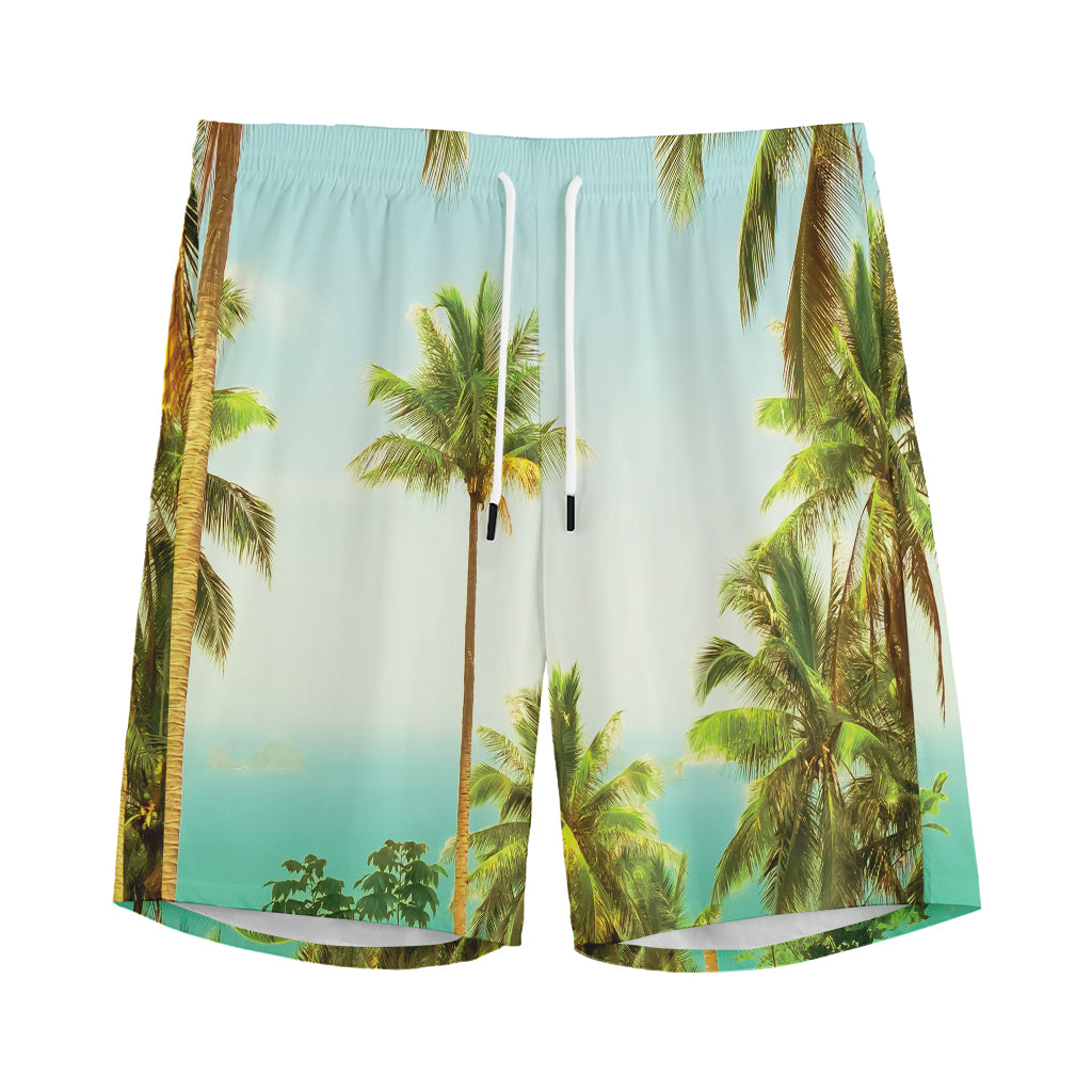 Coconut Tree Print Men's Sports Shorts