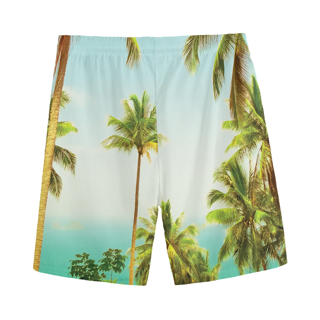 Coconut Tree Print Men's Sports Shorts