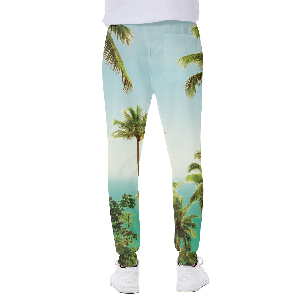 Coconut Tree Print Scuba Joggers