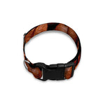 Coffee Beans Print Dog Collar