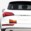 Cola Print Car Sticker