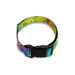 Colorful Acid Melt Print Dog Collar