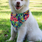 Colorful Aloha Pineapple Pattern Print Over The Collar Dog Bandana
