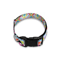 Colorful Aztec Geometric Pattern Print Dog Collar