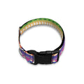 Colorful Aztec Tribal Pattern Print Dog Collar