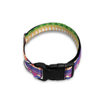 Colorful Aztec Tribal Pattern Print Dog Collar