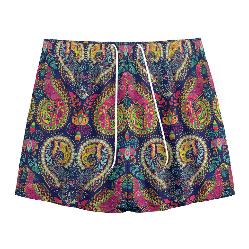 Colorful Boho Paisley Pattern Print Mesh Shorts