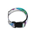Colorful Butterfly Pattern Print Dog Collar