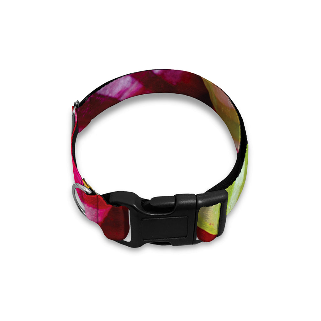 Colorful Candy Ball Print Dog Collar