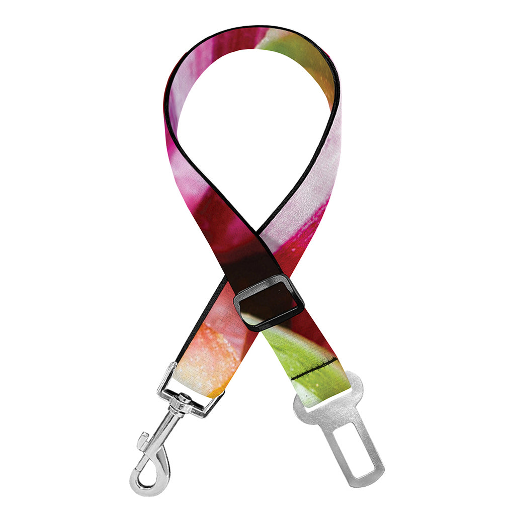 Colorful Candy Ball Print Dog Seat Belt