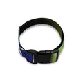 Colorful Chakras Aura Print Dog Collar