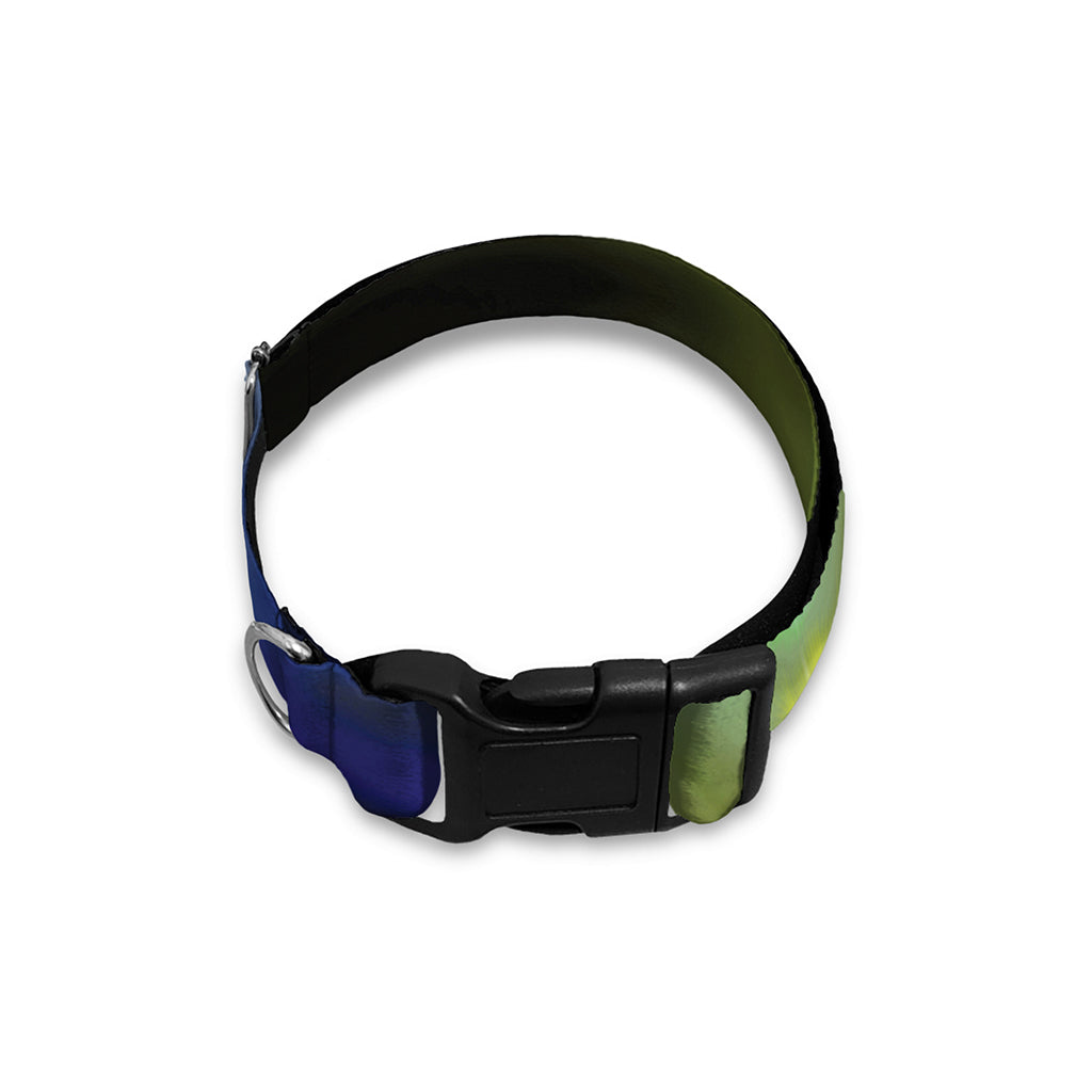 Colorful Chakras Aura Print Dog Collar