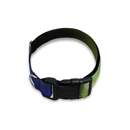 Colorful Chakras Aura Print Dog Collar