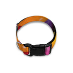Colorful Chocolate Candy Print Dog Collar