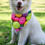 Colorful Chocolate Candy Print Over The Collar Dog Bandana