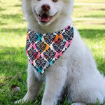 Colorful Damask Pattern Print Over The Collar Dog Bandana