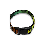 Colorful Disco Lights Pattern Print Dog Collar