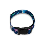 Colorful Dolphin Pattern Print Dog Collar