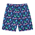 Colorful Dolphin Pattern Print Men's Swim Trunks