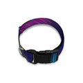 Colorful Feather Pattern Print Dog Collar