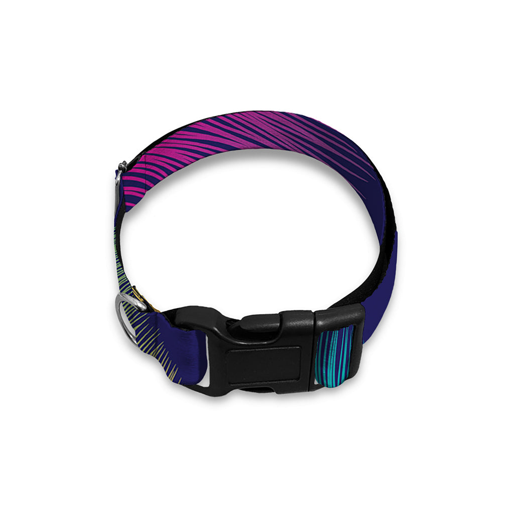 Colorful Feather Pattern Print Dog Collar